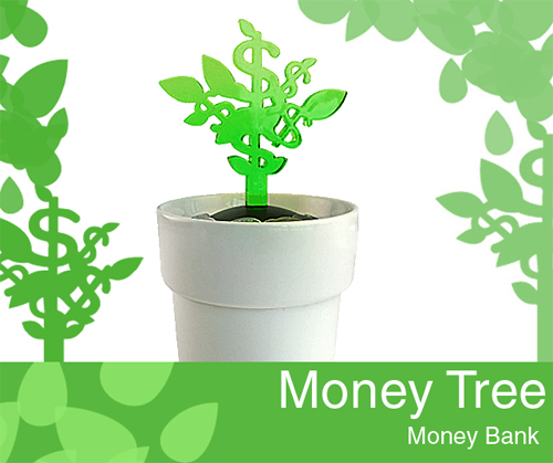 Money Tree 金錢樹