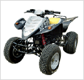 沙灘車 ATV-250